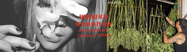 дурь Богданович
