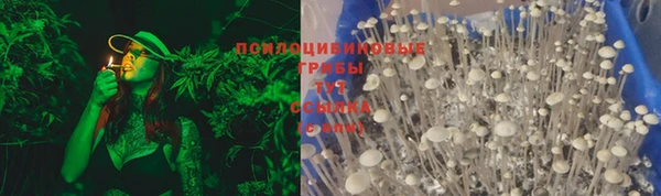 дурь Богданович