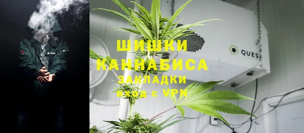 дурь Богданович