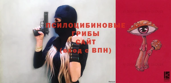 дурь Богданович