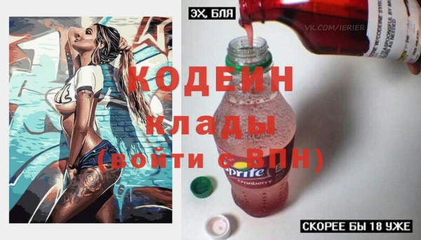 МДПВ Богородск