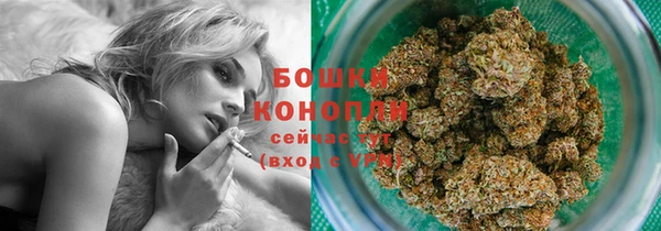 спиды Бородино