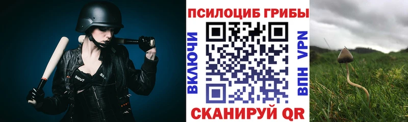 как найти закладки Майкоп Галлюциногенные грибы мухоморы